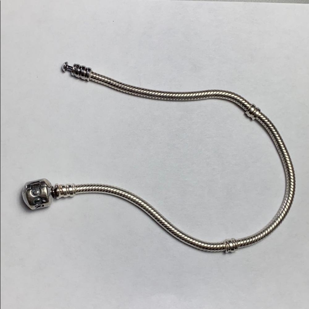Pandora Charm Bracelet